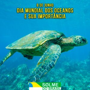 08 de junho - O Dia Mundial dos Oceanos e sua importância