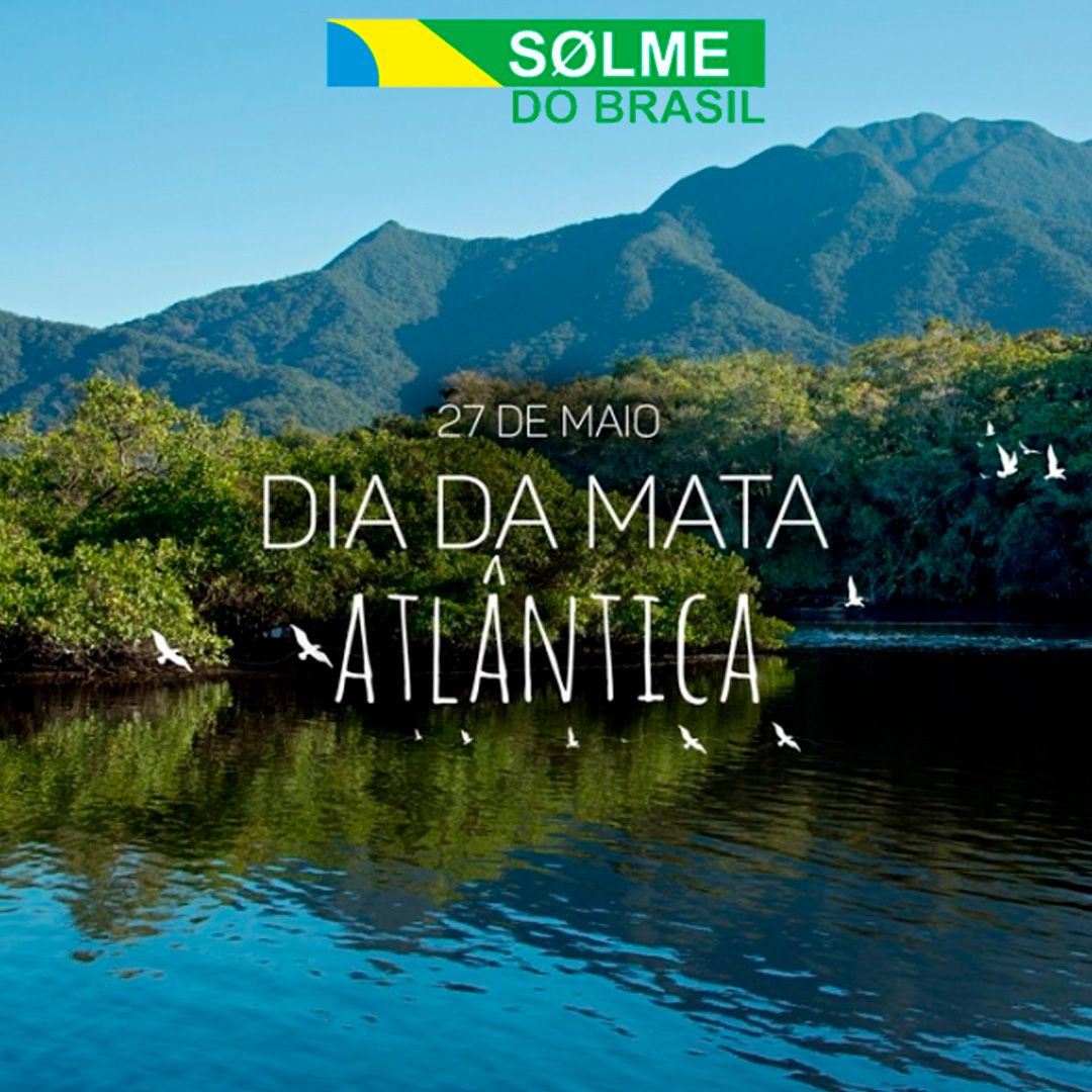 27 de maio - Dia da Mata Atlântica