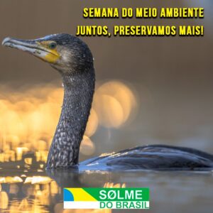 A SOLME na semana do Meio Ambiente: Conscientização