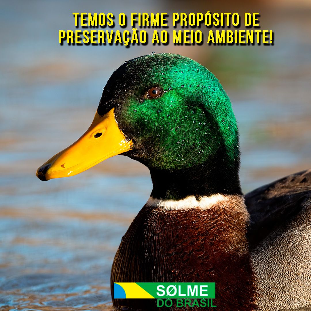 Temos o firme propósito de preservação ao meio ambiente!